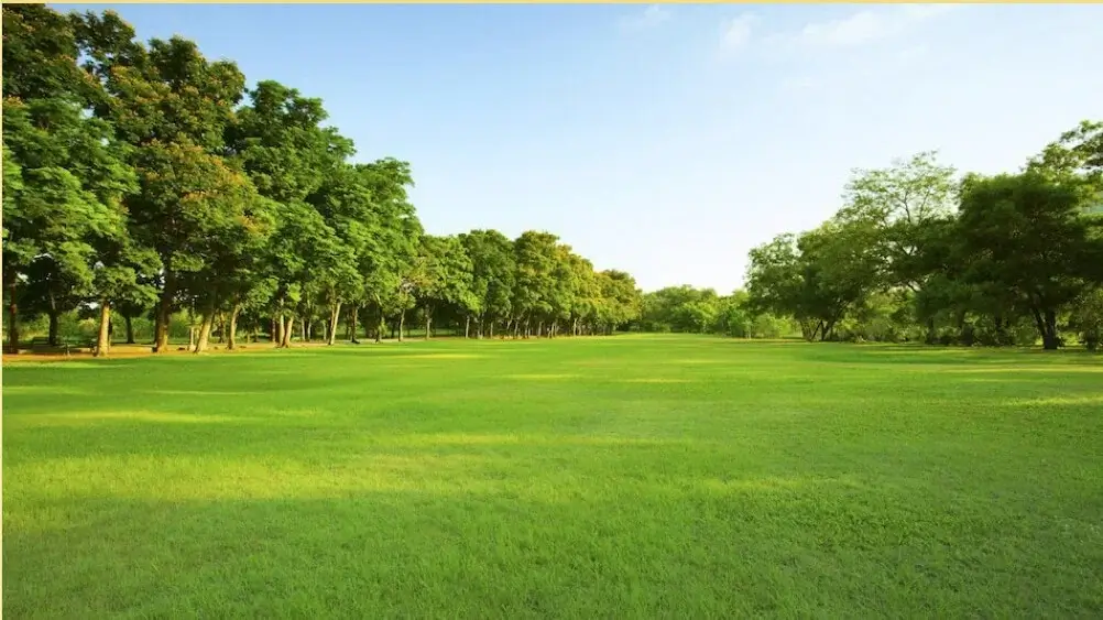 tipologja e prones - toka Illyrian Home